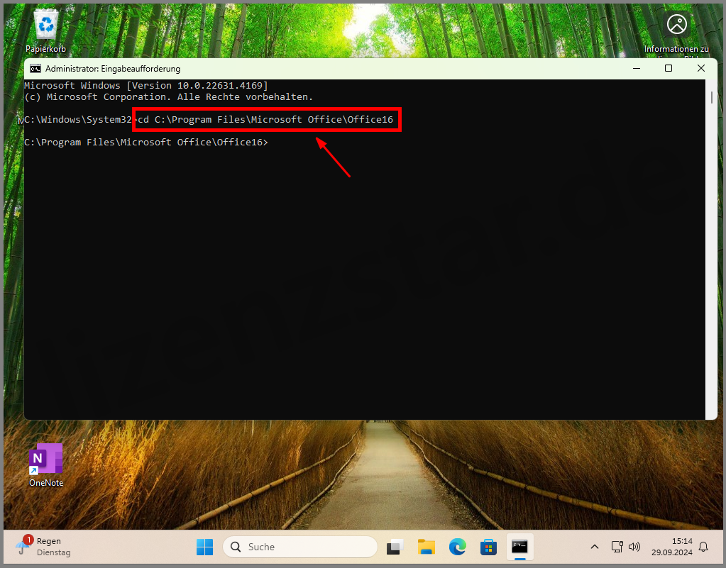 Office_über_CMD_Aktivieren_LS4.png