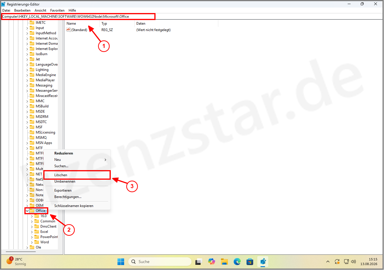 Microsoft_Office 2024_Anzeige_Fehler_3_LS.png