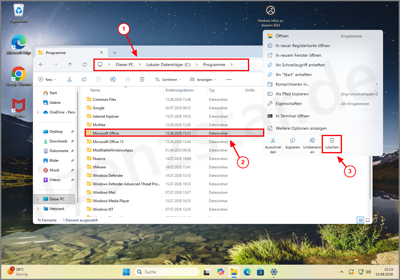 Microsoft_Office 2024_Anzeige_Fehler_4_LS.png