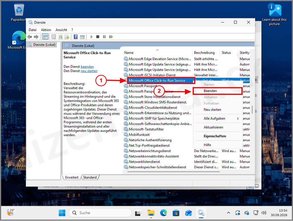 Office_Couldnt_Install_und_Client_update_needed_Fehlerbehebung_LS (2).png